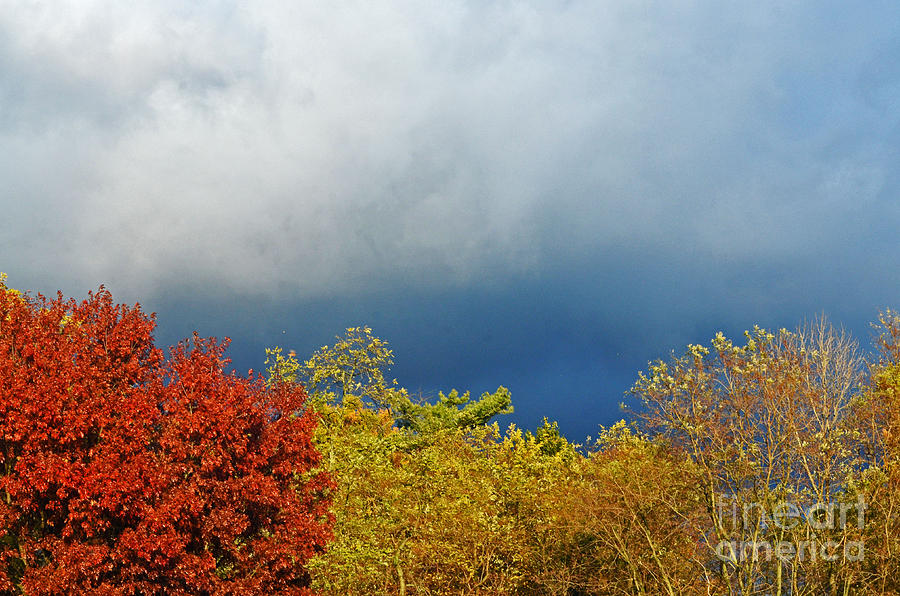 Autumn  Sky Photograph by Judy Wolinsky