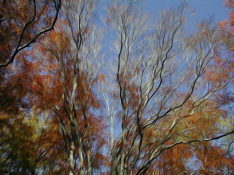 Autumn Sky Digital Art by Kelvin Booker