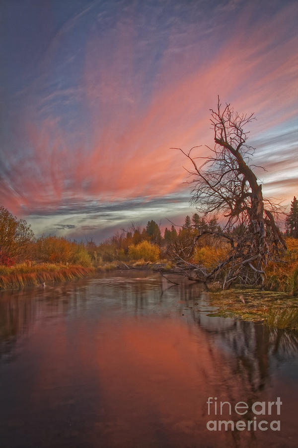 Autumn Sky Photograph by Mitch Shindelbower