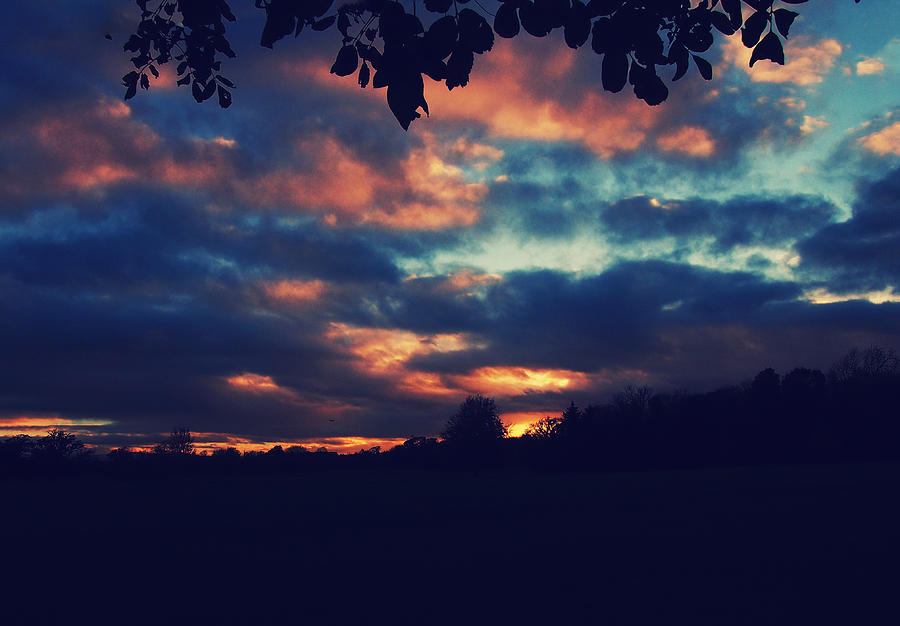 Autumn Photograph - Autumn Sky by Patrick Horgan Autumn Photograph - Autumn Sky by Patrick Horgan