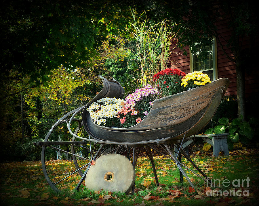 Autumn Sleigh Photograph by Lila Fisher-Wenzel