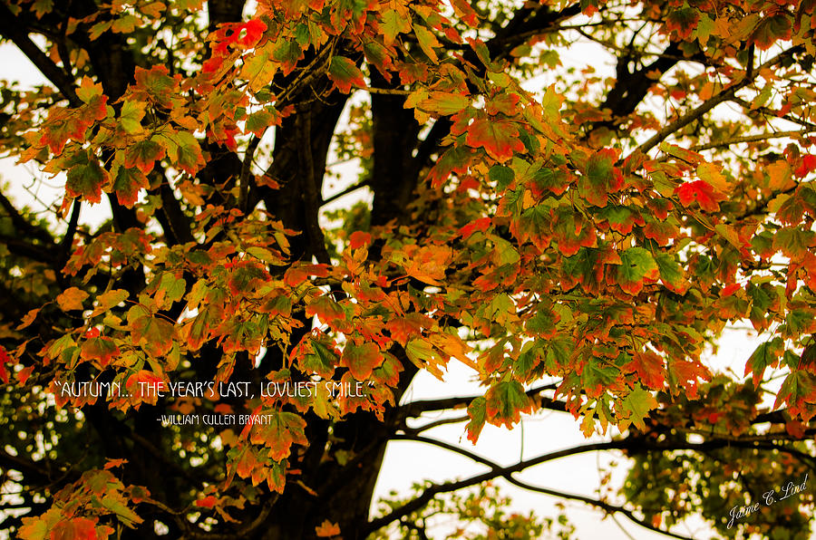 Fall Photograph - Autumn Smile by Jaime Lind