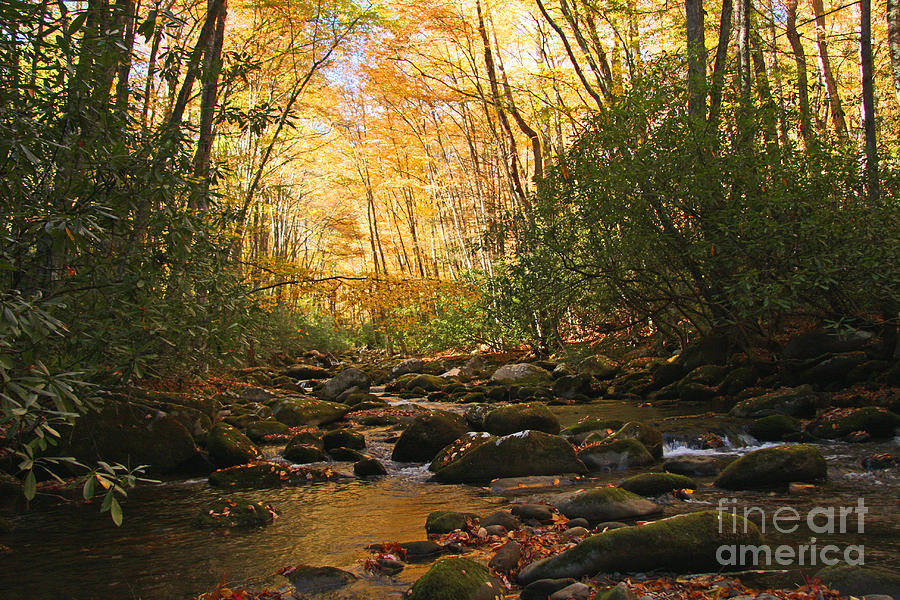 Autumn Smoky Mountains Photograph by Luana K Perez