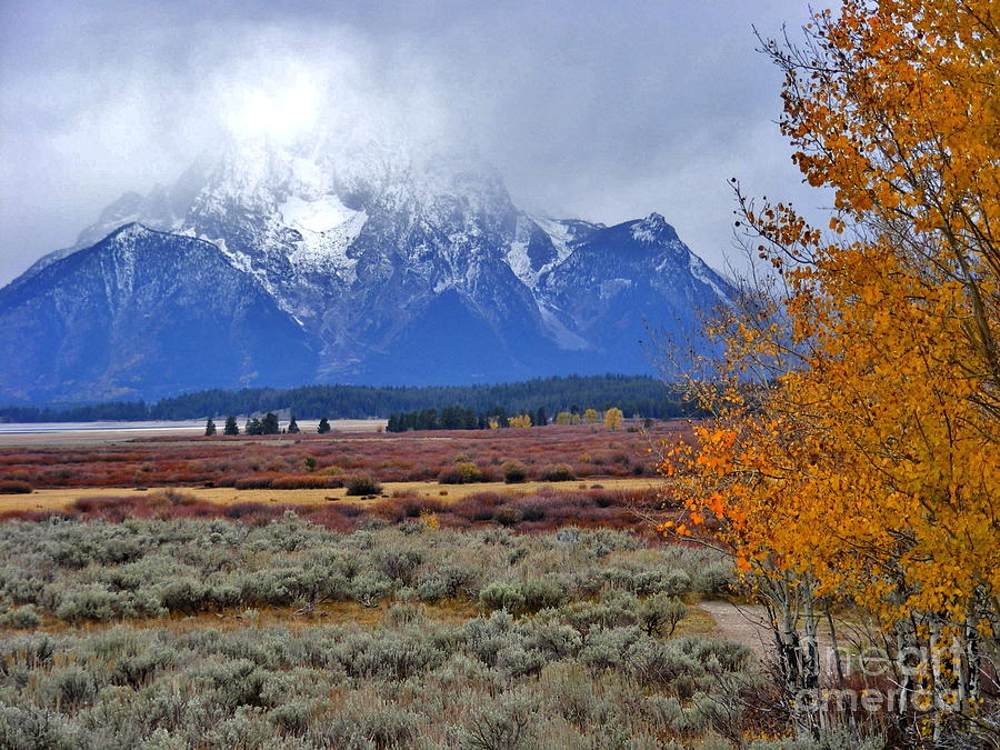 Autumn Snow In The Tetons Photograph by Marilyn Smith