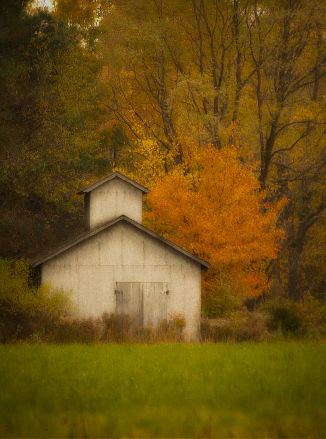 Autumn Solace Photograph by Cindy Haggerty