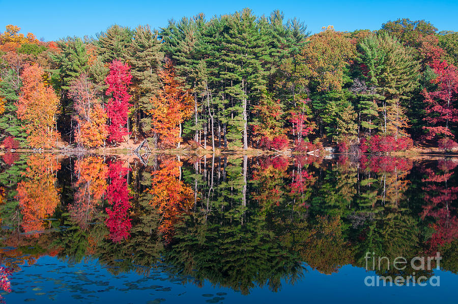 Autumn Spectacular Photograph by Anthony Sacco