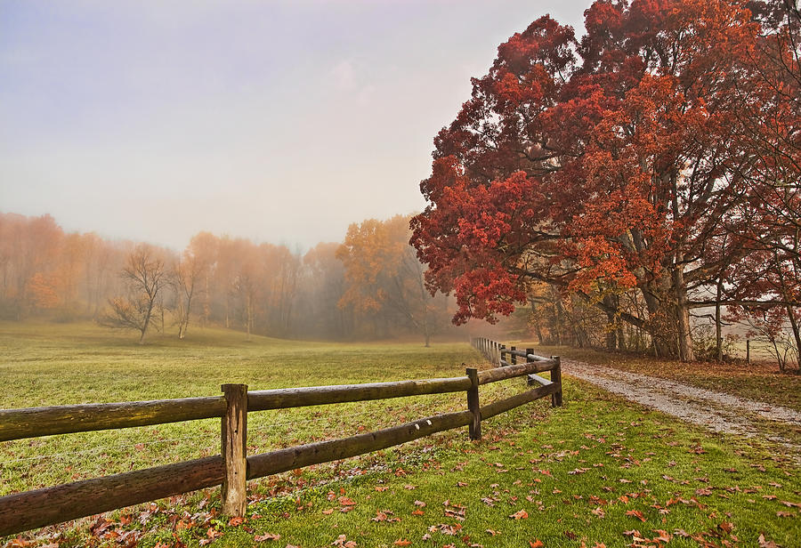 Autumn Splender Photograph by Marcia Colelli