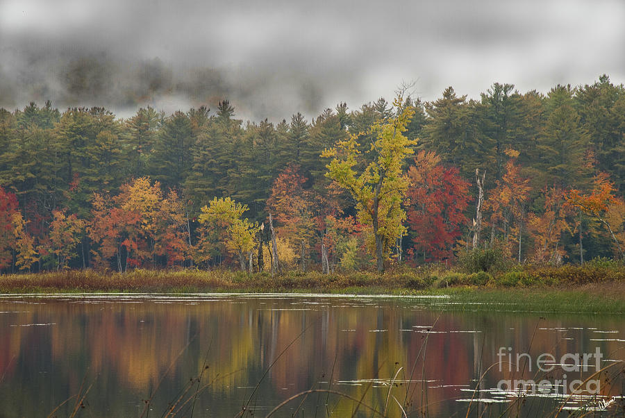 Autumn Splendor  Photograph by Alana Ranney