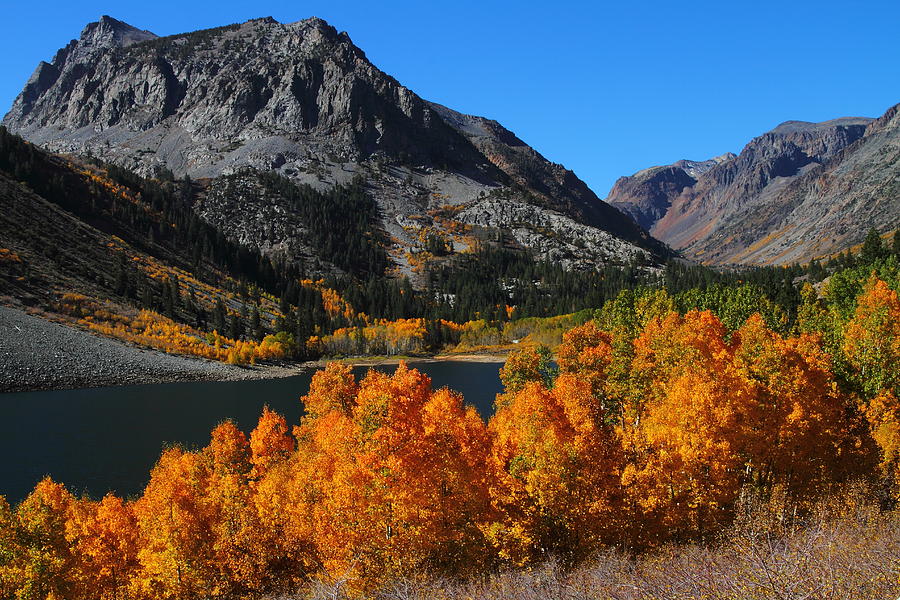Autumn splendor at Lundy Lake in the Eastern Sierras Photograph by Jetson Nguyen