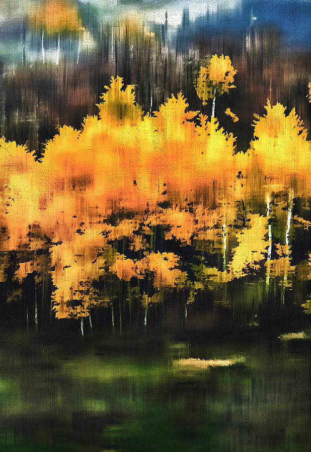 Fall Photograph - Autumn Splendor by Barbara D Richards