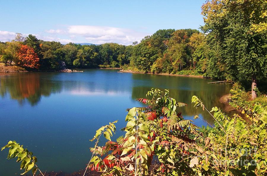 Fall Photograph - Autumn Splendor -Catskill Creek by Ellen Levinson