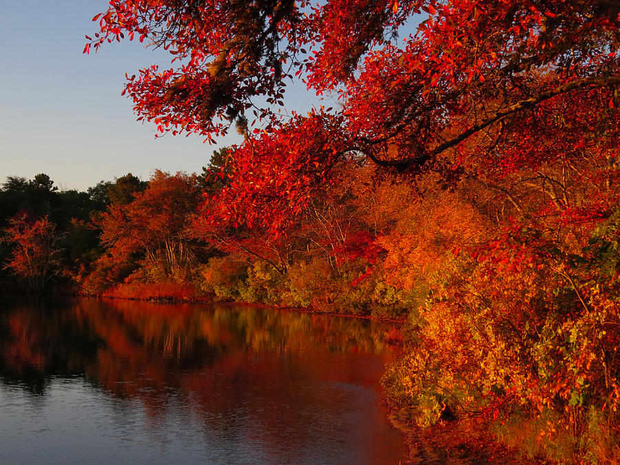 Autumn Splendor  Photograph by Dianne Cowen Cape Cod Photography