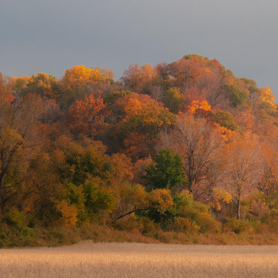Autumn Splendor Photograph by Don Spenner
