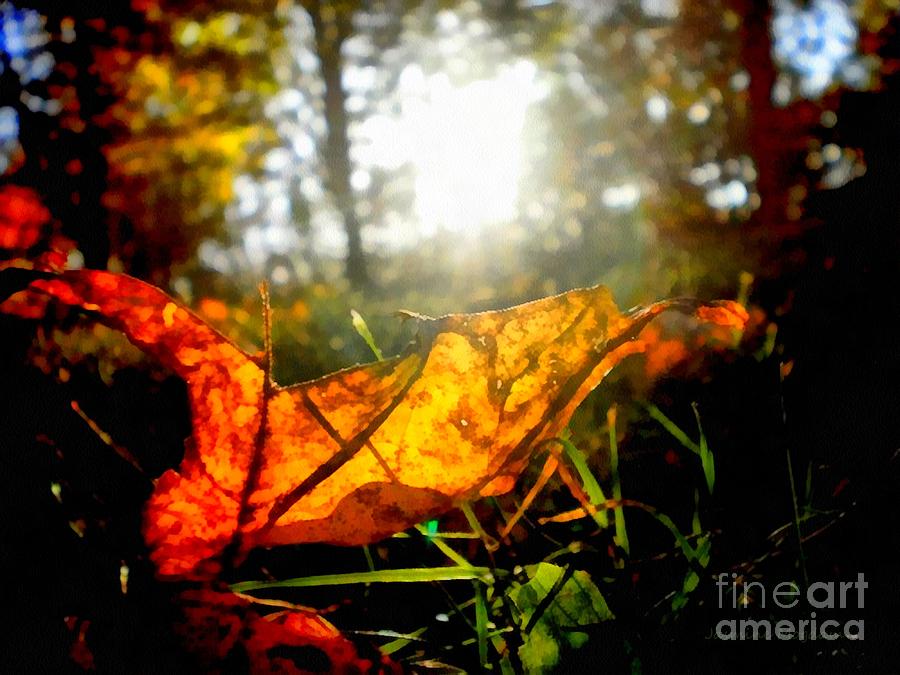 Autumn Splendor Painting by Janine Riley
