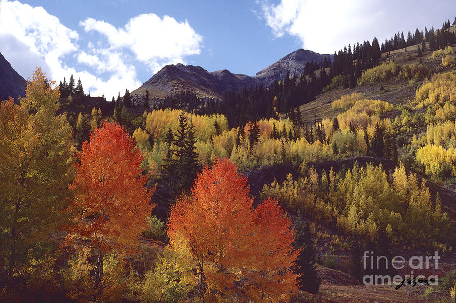 Mountain Photograph - Autumn Splendor by Bon and Jim Fillpot