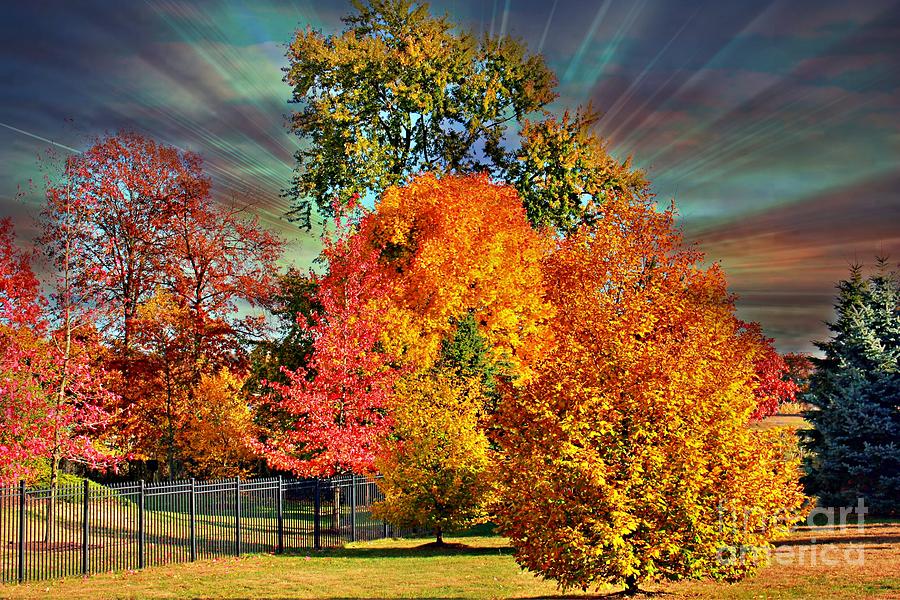Autumn Splendor Photograph by Judy Palkimas