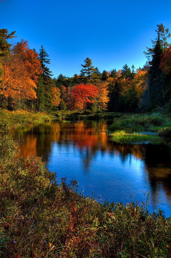 Autumn Splendor on the Moose River Photograph by David Patterson