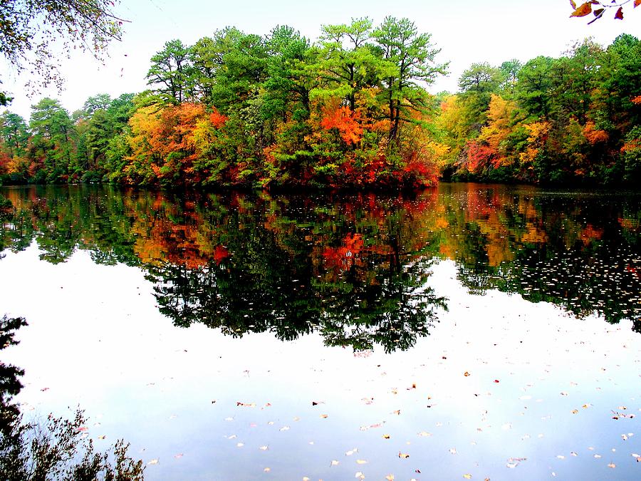Fall Photograph - Autumn Splendor  by Rick Todaro