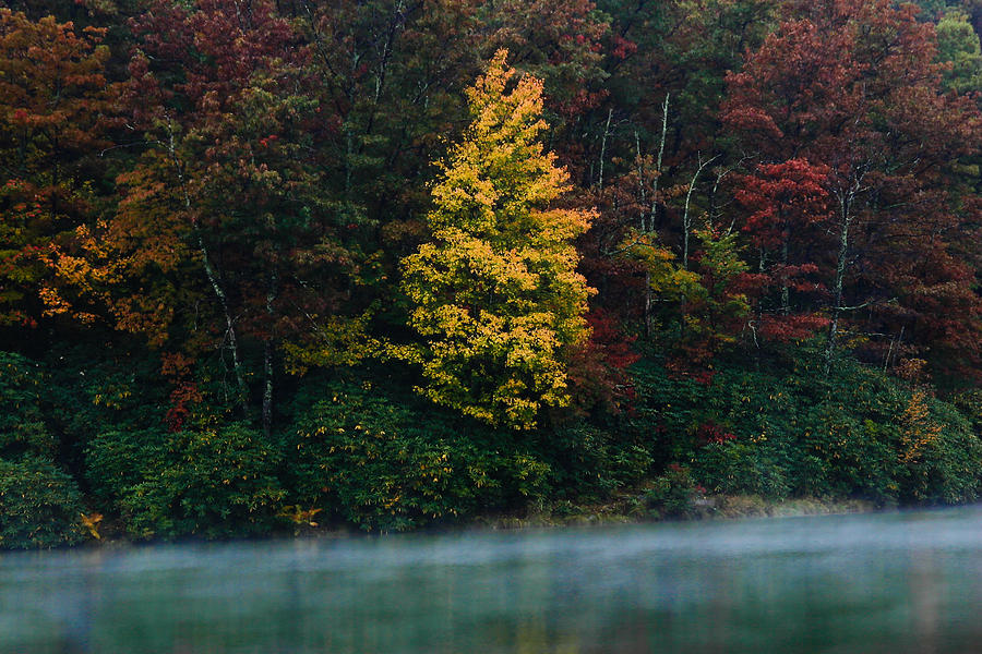 Autumn Splendor Photograph by Shane Holsclaw