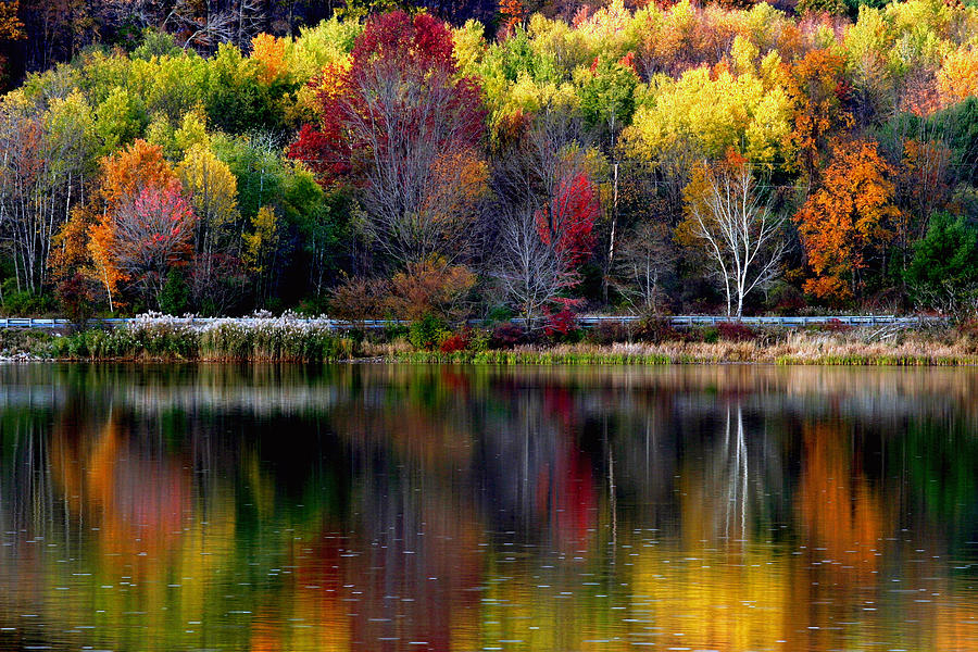 Autumn Sprinkle on Rose Valley Lake Photograph by Gene Walls
