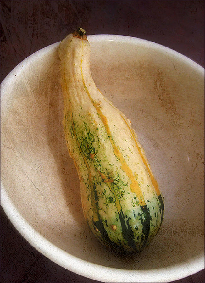 Vegetable Photograph - Autumn Squash in Warm Tones by Louise Kumpf