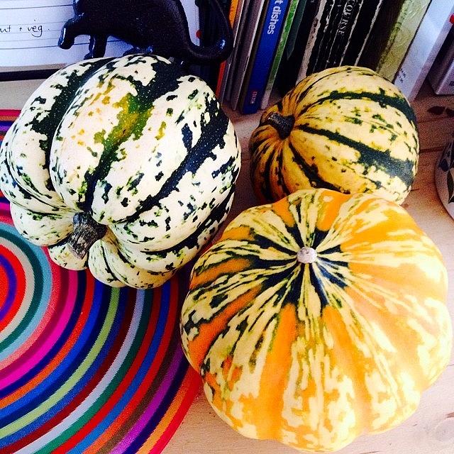 Fall Photograph - Autumn Squashes #nofilters #squashes by Mark  Thornton