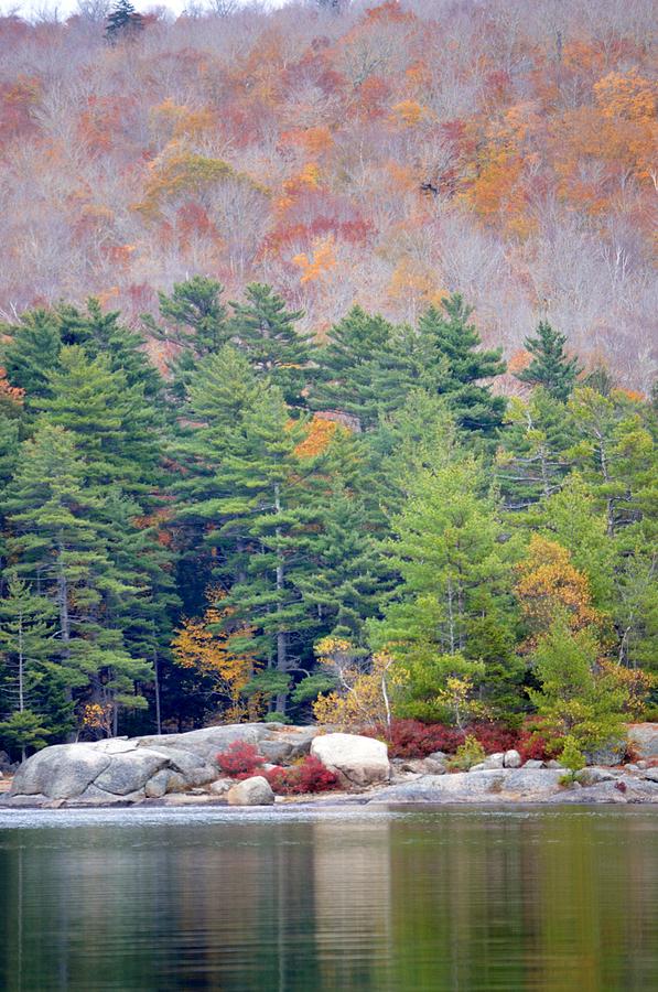 Acadia National Park Photograph - Autumn Stages by Lena Hatch