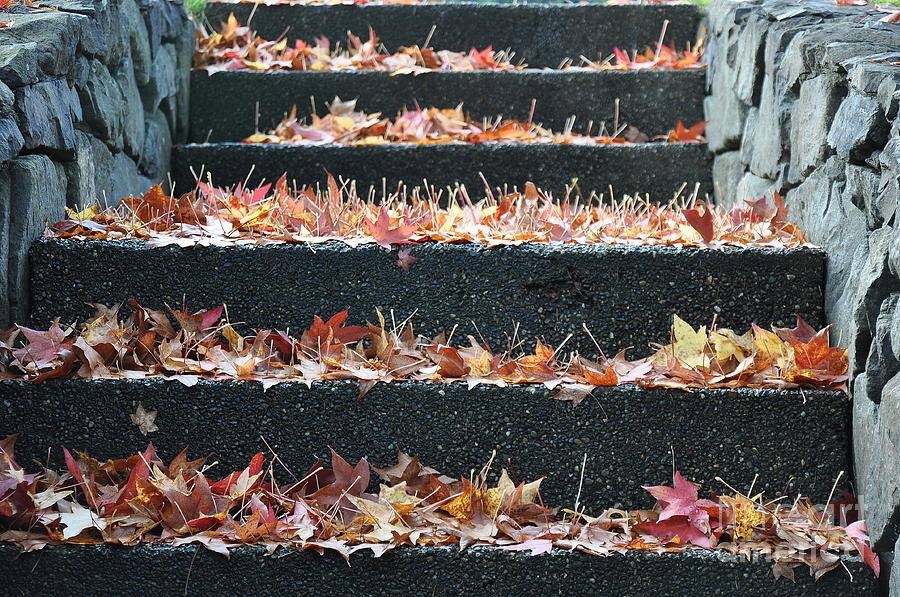 Autumn Staircase Photograph by Tatyana Searcy