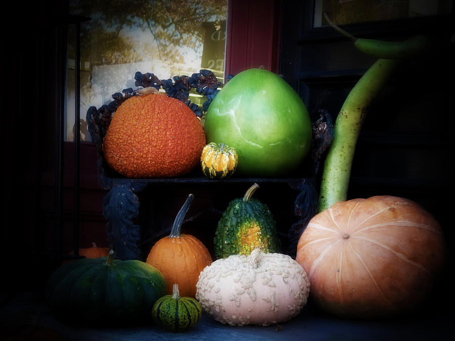 Autumn Still Life Photograph by Terry Eve Tanner