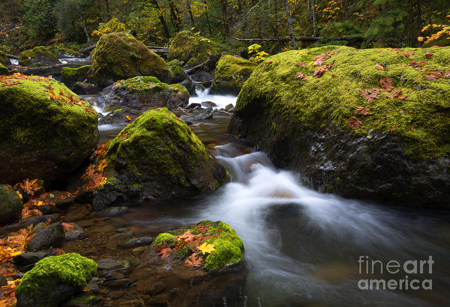 Fall Photograph - Autumn Stones by Michael Dawson