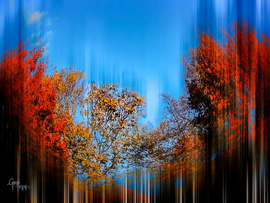 Autumn Streak Photograph by Glenn Feron