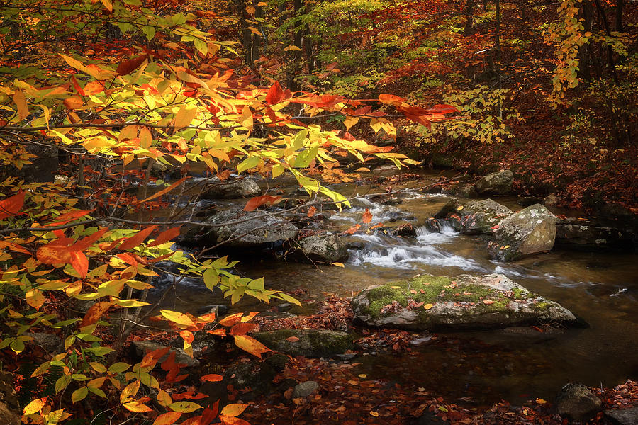 Autumn Stream Photograph by Bill Wakeley - Fine Art America