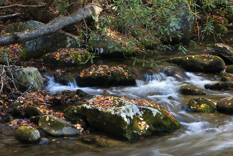 Autumn Stream Photograph by Carol Erikson