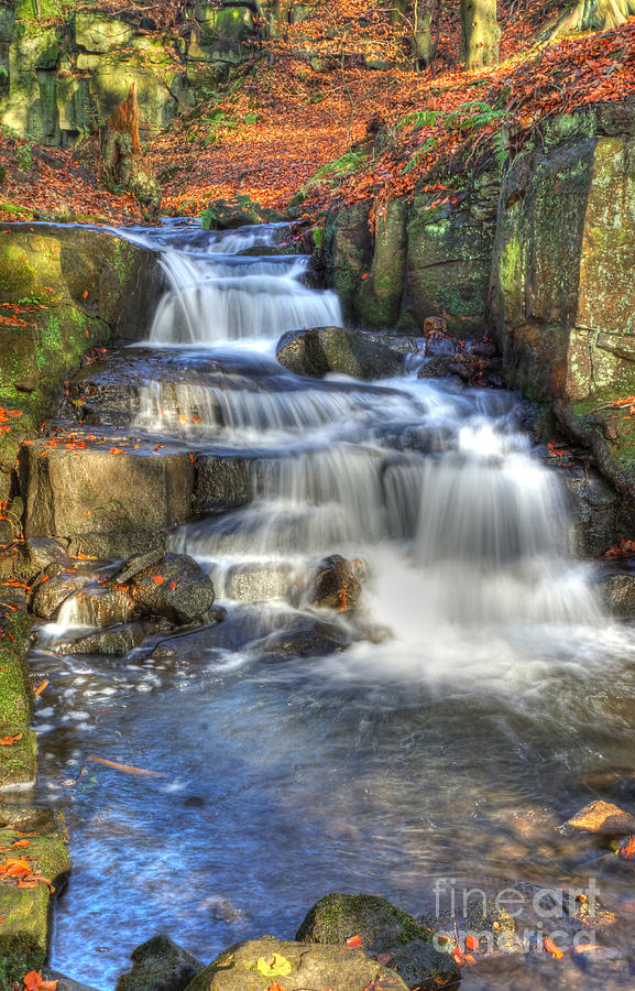 Autumn Stream Photograph by David Birchall