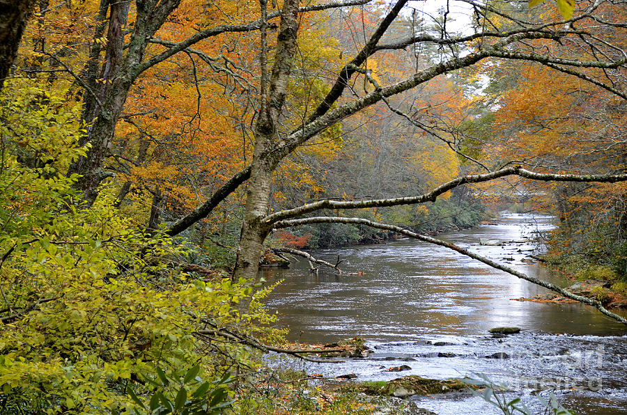 Autumn Stream Photograph by Debra Johnson - Fine Art America