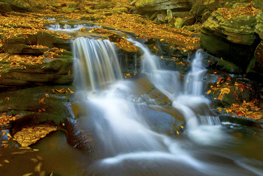 Autumn Stream Falls Photograph by Paul W Faust -  Impressions of Light