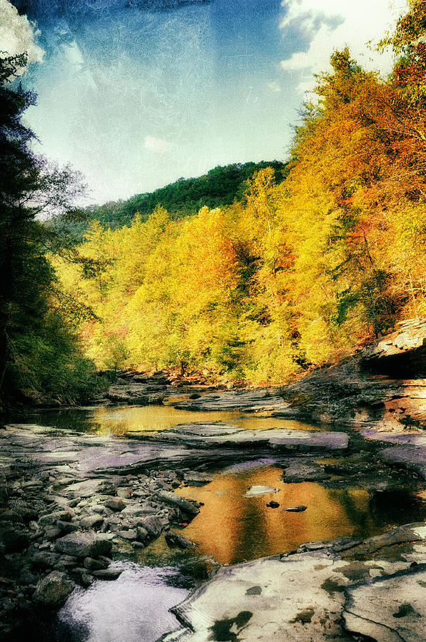 Fall Photograph - Autumn Stream by Heather Fox
