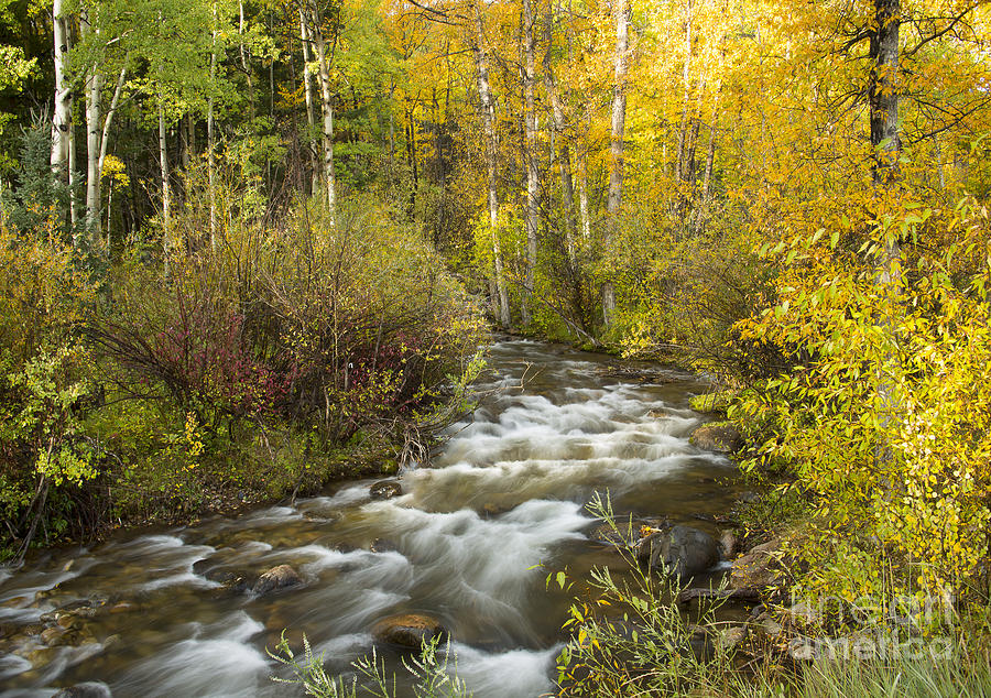 Autumn Stream Photograph by Idaho Scenic Images Linda Lantzy