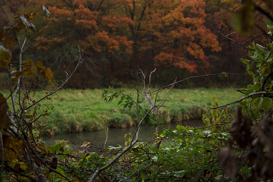 Autumn Stream ii Photograph by Ryan Heffron