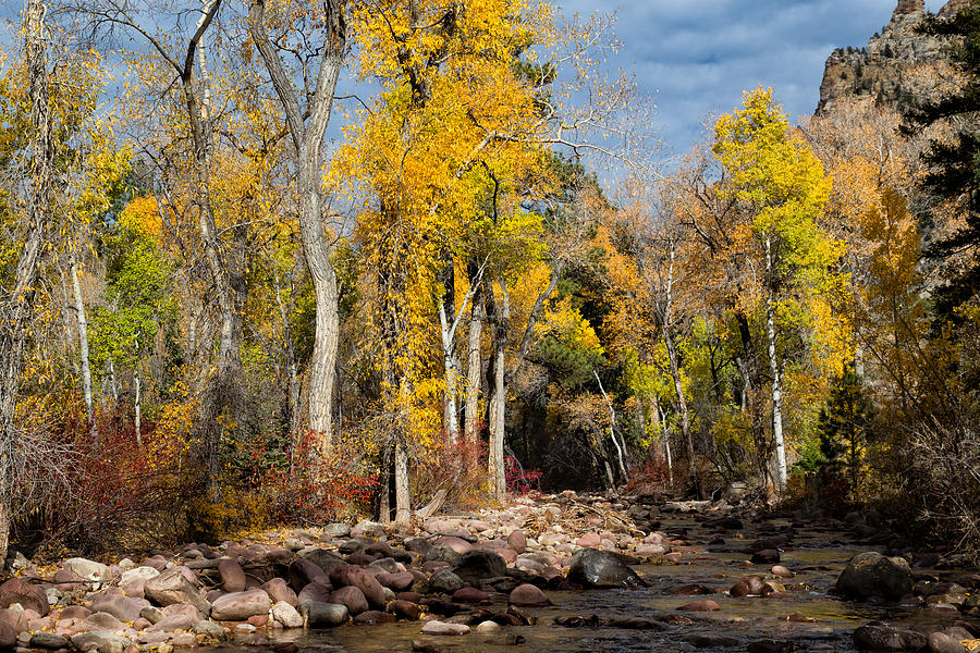Autumn Stream in Dry Fork Canyon Photograph by Kathleen Bishop