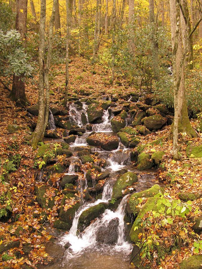 Autumn Stream in Smokies Photograph by Dennis Cox