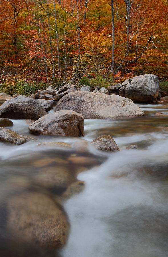 Autumn stream in the White Mountains Photograph by Jetson Nguyen