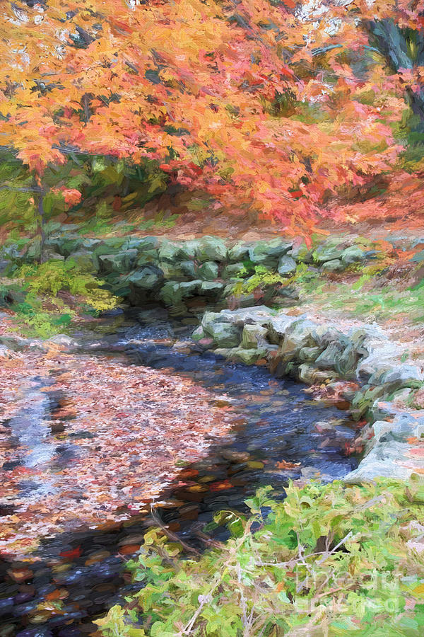 Autumn Stream Digital Art by Jayne Carney