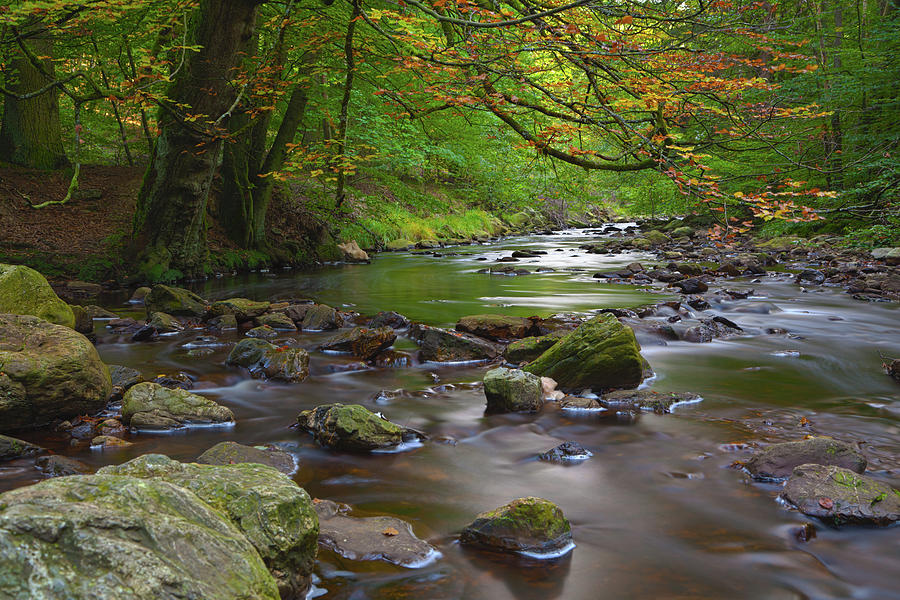 Autumn Stream Long Exposure Photograph by Michaelutech