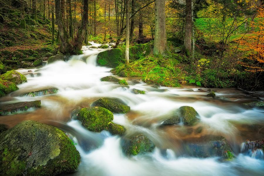 Autumn stream Photograph by Maciej Markiewicz