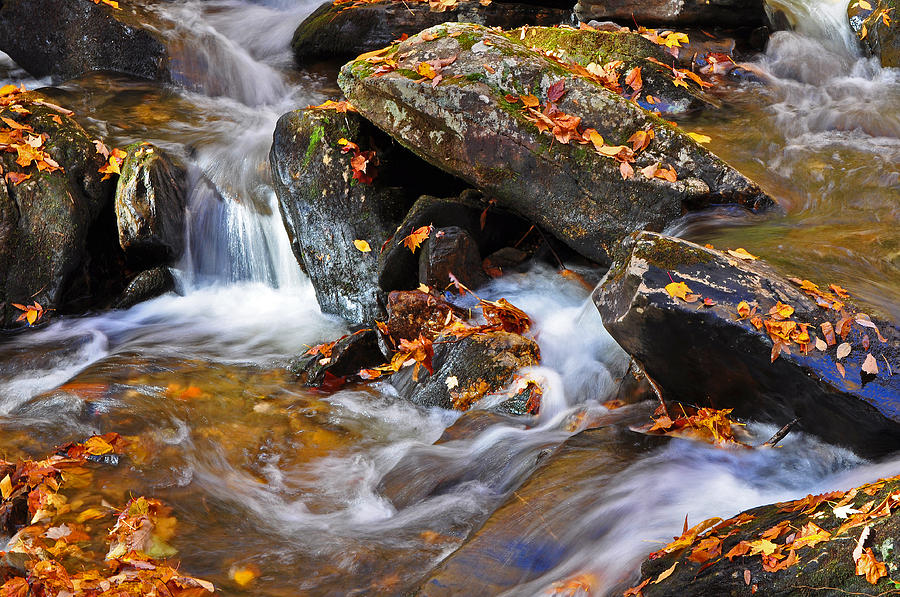 Autumn Stream North Georgia Photograph by Bruce Gourley