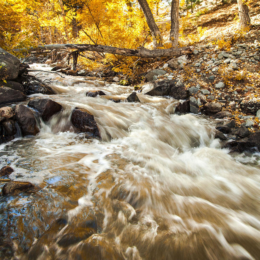 Autumn Stream Under The Golden Birch Trees Fine Art Photograph Print Photograph by Jerry Cowart
