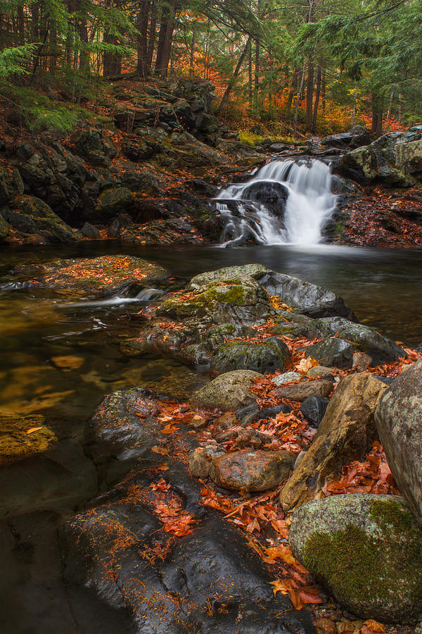 Autumn Streams in Tamworth Photograph by White Mountain Images
