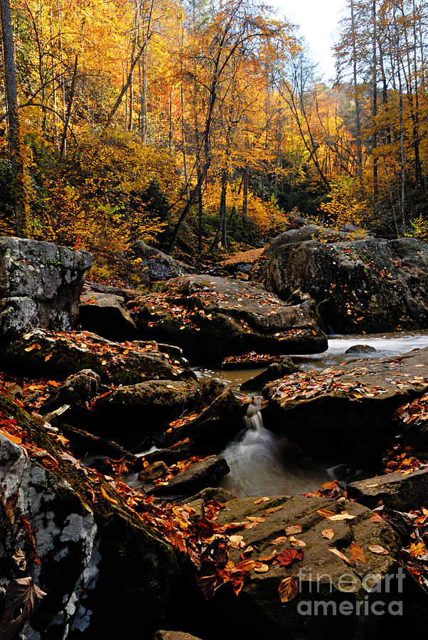 Autumn Strean Photograph by Larry Ricker