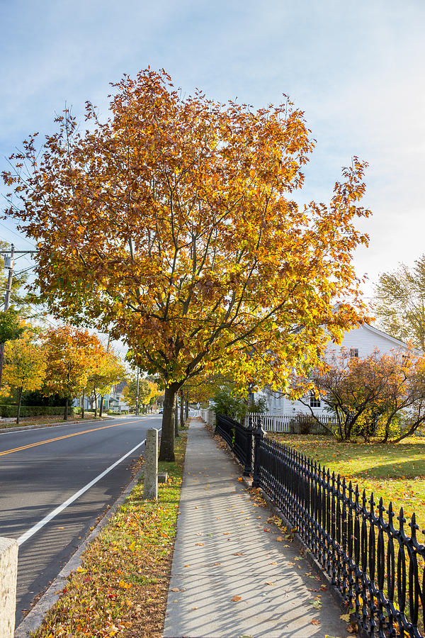 Autumn Stroll in Mystic Photograph by Kirkodd Photography Of New England